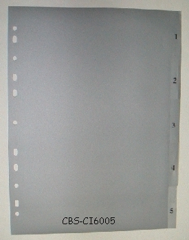 CI6005