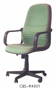 R4301