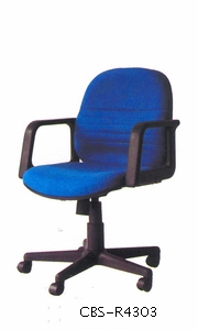 R4303