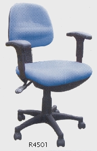 R4501