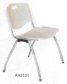 R49101